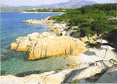 Casa fronte mare con giardino spiaggia 7-22 agosto