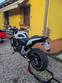 Honda hornet A2