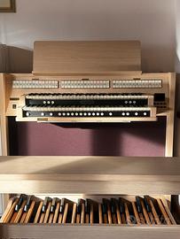 Organo Viscount Domus S5