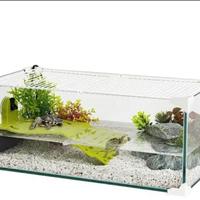 Teca Karapas 60x30x25 in vetro – Come nuova