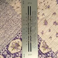 Scala parlante radio prandoni