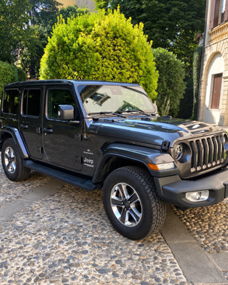 Wrangler IV 2018 Unlimited 2.2 mjt Sahara SkyTouch