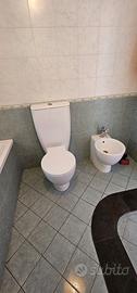sanitari