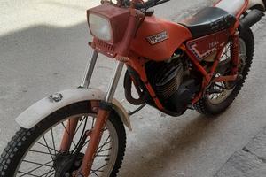 trial fantic motor