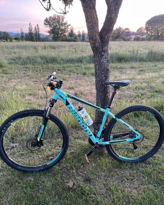 Bicicletta Mtb montain bike Bianchi