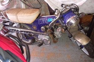 Dax replica tnt city50