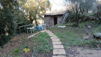 Terreno con rustico Itri loc. S. Stefano