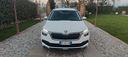 skoda-kamiq-1-0-g-tec-ambition