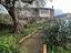 Immagine 23