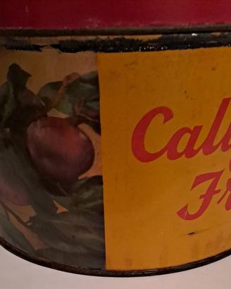 Scatola in latta vintage California fruits