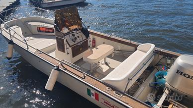 Boston Whaler 20'