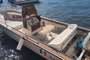 Boston Whaler 20'