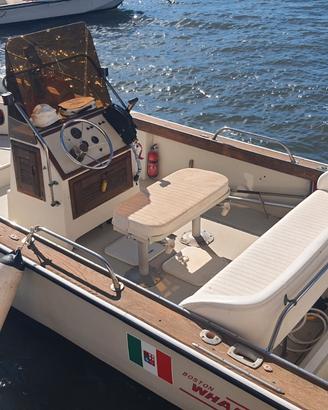 Boston Whaler 20'