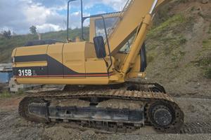 Escavatori Caterpillar 315 B L