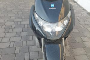 scooter beverly 250