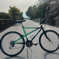 Mtb bianchi 26