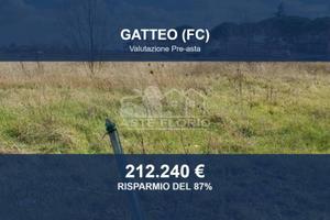 Immobile in asta di 7823 m² a Gatteo