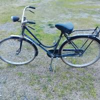 Bici donna da 26