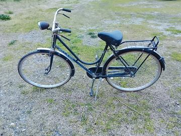 Bici donna da 26
