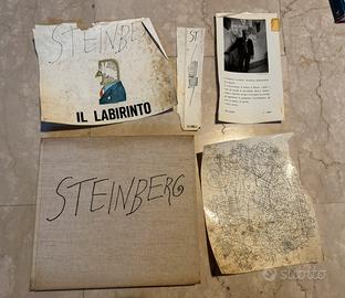 Libri Steinberg Il Labirinto e Passaporto