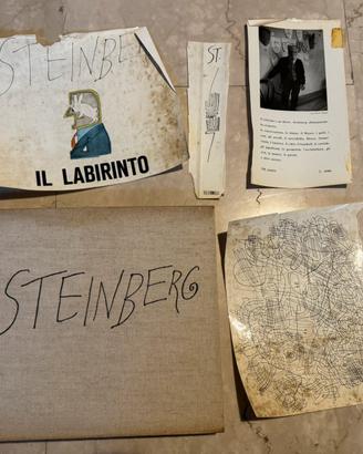 Libri Steinberg Il Labirinto e Passaporto