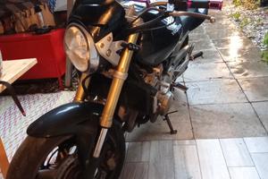 Honda Hornet 600 del 2006