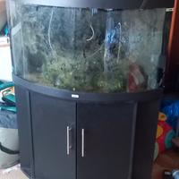 acquario  Juvel trigon 190