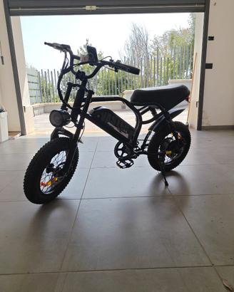 Bici Elettrica Fat Bike VASTER A13 (AVDL A13)