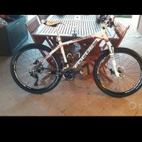 Bici elettrica Focus