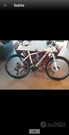 Bici elettrica Focus