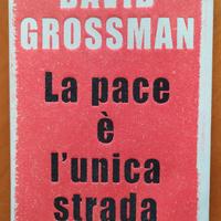 DAVID GROSSMAN La pace è l'unica strada.