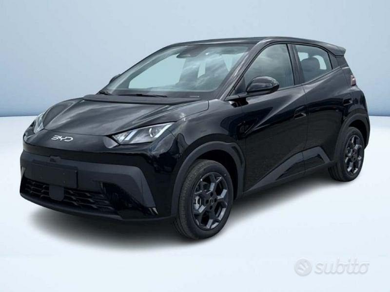 BYD Dolphin Surf