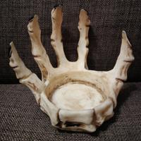 Scultura Mano Scheletro Arte Horror