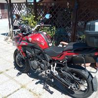Benelli TRK 502 x - 2019