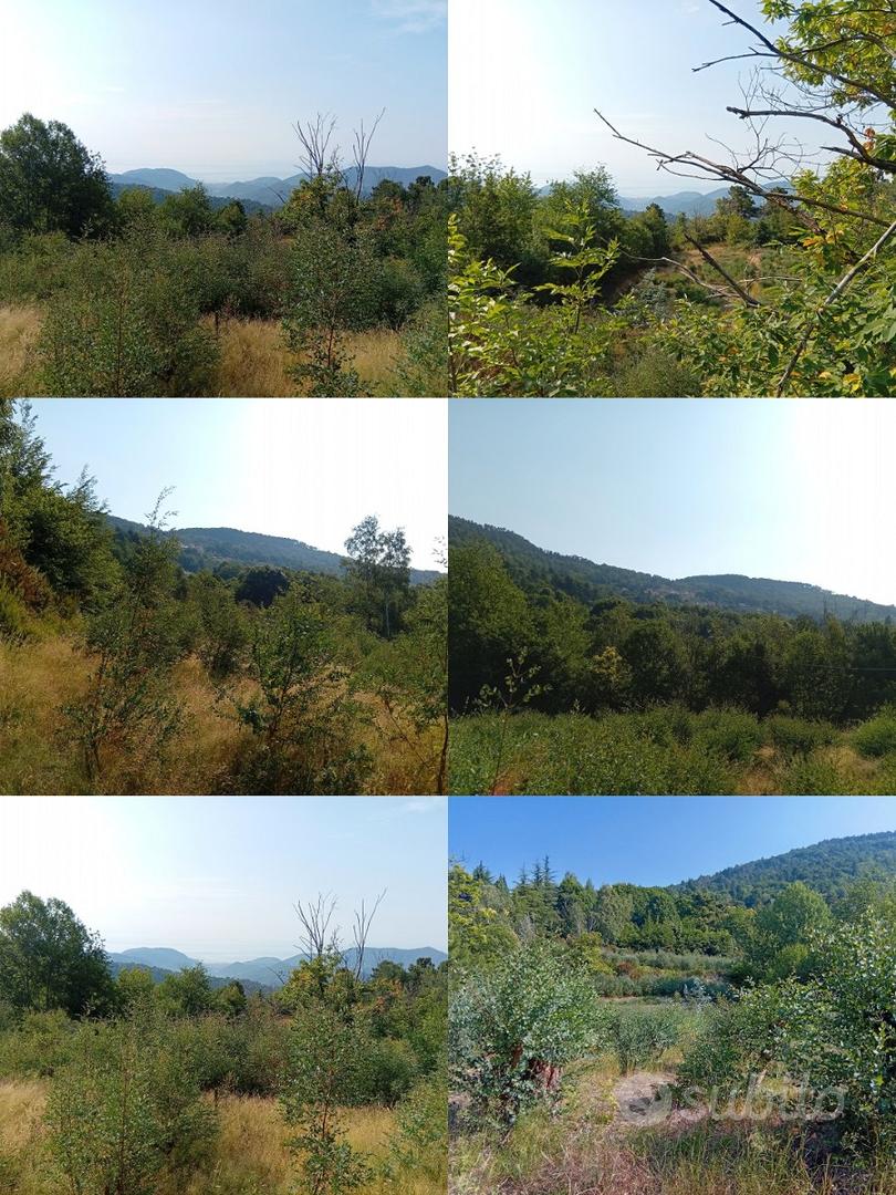 Terreni agricoli edificabili - Vista 2