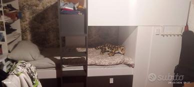Letto cadtello