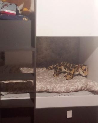 Letto cadtello