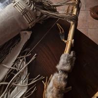 arco e faretra indiano in pelle vera