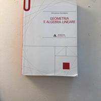 Libro di Geometria ed Algebra Lineare