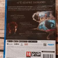 Expedition 33 ps5