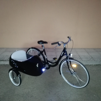 Sidecar bici