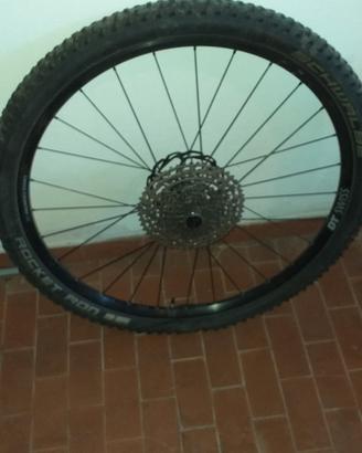 coppia ruote dt swiss complete