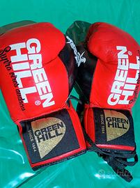 Guanti Green Hill modello   Ares  pro 10 oz