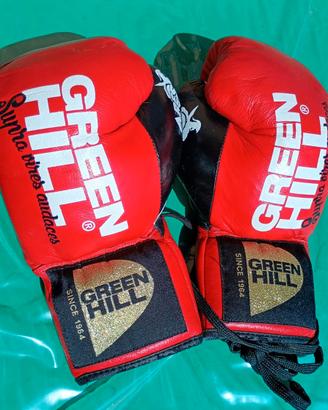 Guanti Green Hill modello   Ares  pro 10 oz