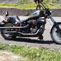 Harley Davidson Softail Custom 1340