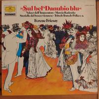 dischi LP in vinile