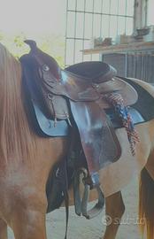 Sella natowa “16”