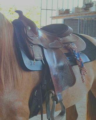 Sella natowa “16”