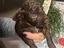 Immagine 3