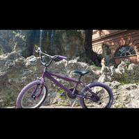 Bmx viola